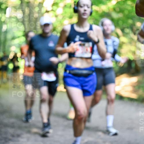28.09.2025 - 33. Volkslauf durch das schöne Alstertal Dr. Thomas Lammeyer http://msf.ph/oto/8955704 28.09.2025 10:42:23 Laufen  meine-sportfotos.de