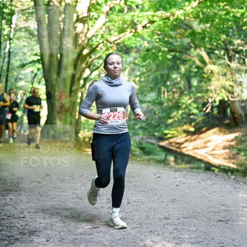 28.09.2025 - 33. Volkslauf durch das schöne Alstertal Dr. Thomas Lammeyer http://msf.ph/oto/8955790 28.09.2025 10:42:42 Laufen 226 meine-sportfotos.de