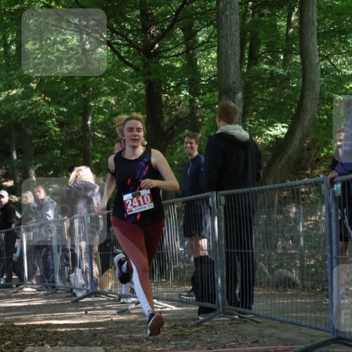 28.09.2025 - 33. Volkslauf durch das schöne Alstertal Strokosch-Dieckow http://msf.ph/oto/8955811 28.09.2025 12:48:45 Ziel 2410 meine-sportfotos.de