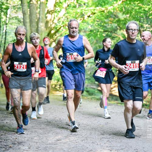 28.09.2025 - 33. Volkslauf durch das schöne Alstertal Dr. Thomas Lammeyer http://msf.ph/oto/8955814 28.09.2025 10:42:48 Laufen 2121, 251, 2044, 043, 2415 meine-sportfotos.de