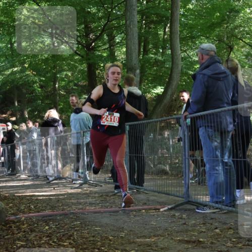 28.09.2025 - 33. Volkslauf durch das schöne Alstertal Strokosch-Dieckow http://msf.ph/oto/8955823 28.09.2025 12:48:45 Ziel 2410 meine-sportfotos.de