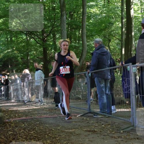28.09.2025 - 33. Volkslauf durch das schöne Alstertal Strokosch-Dieckow http://msf.ph/oto/8955836 28.09.2025 12:48:46 Ziel 2410 meine-sportfotos.de