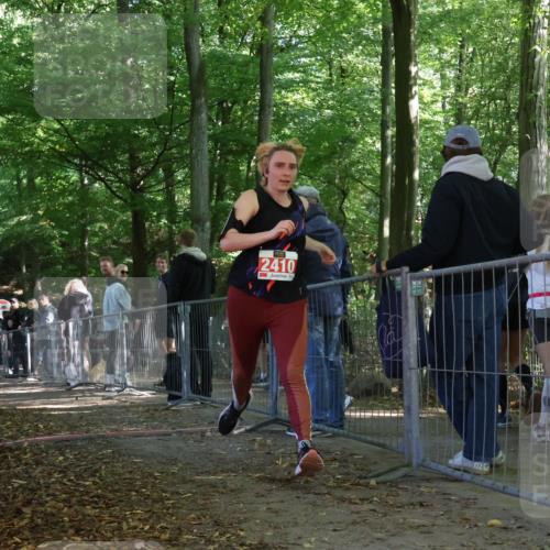 28.09.2025 - 33. Volkslauf durch das schöne Alstertal Strokosch-Dieckow http://msf.ph/oto/8955848 28.09.2025 12:48:46 Ziel 2410 meine-sportfotos.de