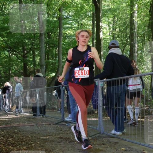 28.09.2025 - 33. Volkslauf durch das schöne Alstertal Strokosch-Dieckow http://msf.ph/oto/8955858 28.09.2025 12:48:46 Ziel 2410 meine-sportfotos.de