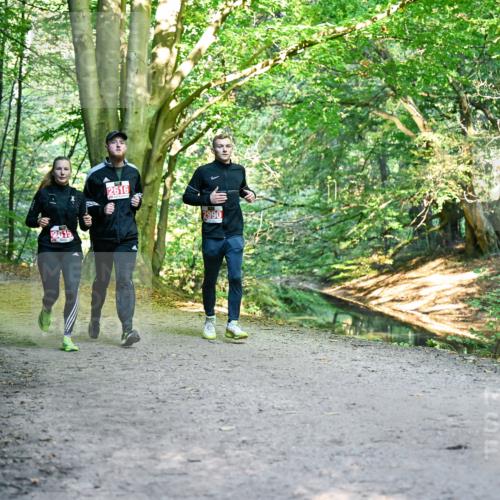 28.09.2025 - 33. Volkslauf durch das schöne Alstertal Dr. Thomas Lammeyer http://msf.ph/oto/8955863 28.09.2025 10:42:58 Laufen 2616, 2990 meine-sportfotos.de