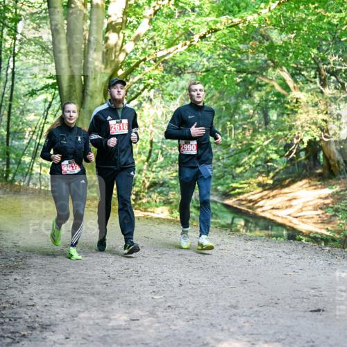 28.09.2025 - 33. Volkslauf durch das schöne Alstertal Dr. Thomas Lammeyer http://msf.ph/oto/8955869 28.09.2025 10:42:59 Laufen 2615, 2616, 2990 meine-sportfotos.de