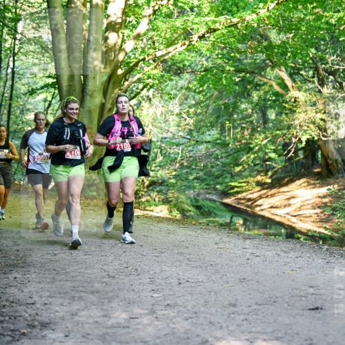 28.09.2025 - 33. Volkslauf durch das schöne Alstertal Dr. Thomas Lammeyer http://msf.ph/oto/8955885 28.09.2025 10:43:06 Laufen 2566, 106, 2105 meine-sportfotos.de