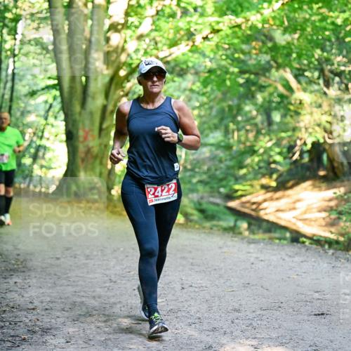 28.09.2025 - 33. Volkslauf durch das schöne Alstertal Dr. Thomas Lammeyer http://msf.ph/oto/8955949 28.09.2025 10:43:18 Laufen 2422 meine-sportfotos.de