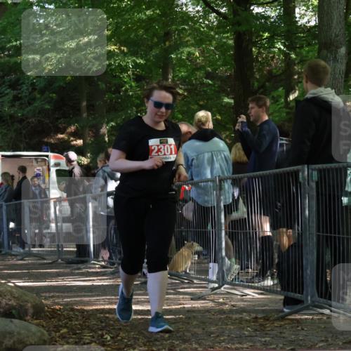 28.09.2025 - 33. Volkslauf durch das schöne Alstertal Strokosch-Dieckow http://msf.ph/oto/8955999 28.09.2025 12:49:33 Ziel 2301 meine-sportfotos.de