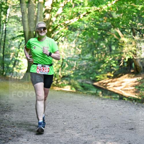 28.09.2025 - 33. Volkslauf durch das schöne Alstertal Dr. Thomas Lammeyer http://msf.ph/oto/8956018 28.09.2025 10:43:32 Laufen 2538 meine-sportfotos.de