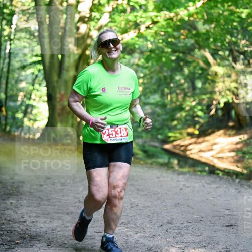 28.09.2025 - 33. Volkslauf durch das schöne Alstertal Dr. Thomas Lammeyer http://msf.ph/oto/8956022 28.09.2025 10:43:32 Laufen 2538 meine-sportfotos.de