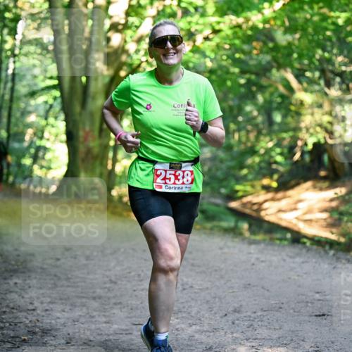 28.09.2025 - 33. Volkslauf durch das schöne Alstertal Dr. Thomas Lammeyer http://msf.ph/oto/8956024 28.09.2025 10:43:32 Laufen 2538 meine-sportfotos.de