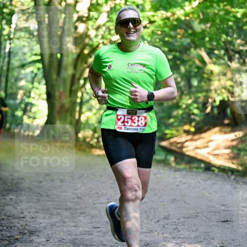 28.09.2025 - 33. Volkslauf durch das schöne Alstertal Dr. Thomas Lammeyer http://msf.ph/oto/8956025 28.09.2025 10:43:32 Laufen 2025, 2538 meine-sportfotos.de