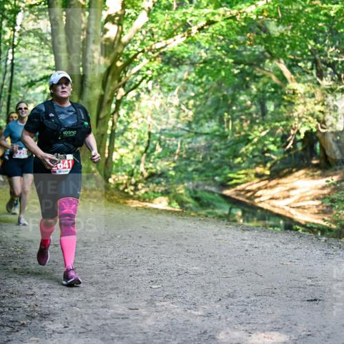 28.09.2025 - 33. Volkslauf durch das schöne Alstertal Dr. Thomas Lammeyer http://msf.ph/oto/8956026 28.09.2025 10:43:36 Laufen 641 meine-sportfotos.de
