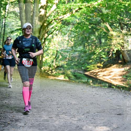 28.09.2025 - 33. Volkslauf durch das schöne Alstertal Dr. Thomas Lammeyer http://msf.ph/oto/8956028 28.09.2025 10:43:37 Laufen 2641 meine-sportfotos.de