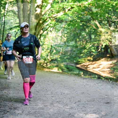 28.09.2025 - 33. Volkslauf durch das schöne Alstertal Dr. Thomas Lammeyer http://msf.ph/oto/8956029 28.09.2025 10:43:37 Laufen 2641 meine-sportfotos.de