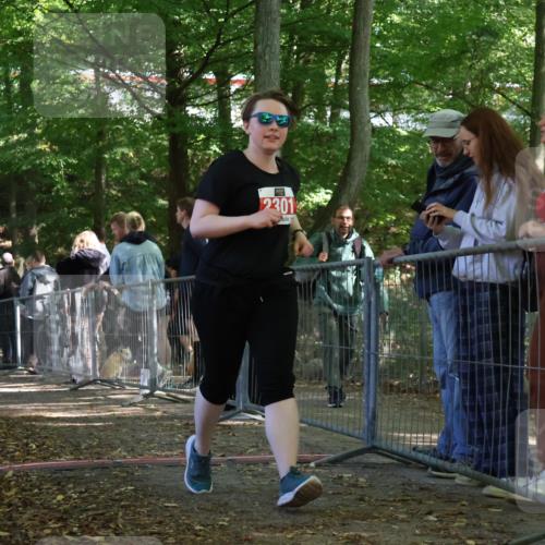 28.09.2025 - 33. Volkslauf durch das schöne Alstertal Strokosch-Dieckow http://msf.ph/oto/8956031 28.09.2025 12:49:34 Ziel 2301 meine-sportfotos.de