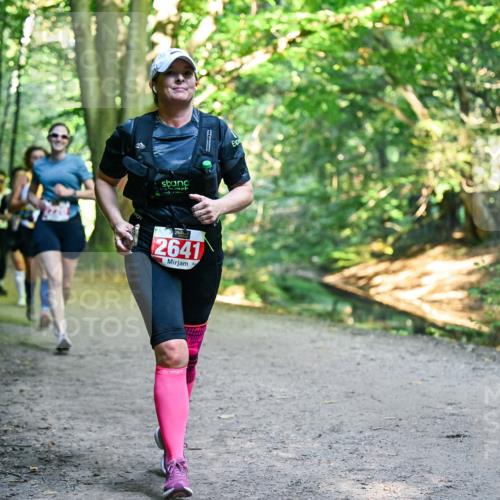 28.09.2025 - 33. Volkslauf durch das schöne Alstertal Dr. Thomas Lammeyer http://msf.ph/oto/8956034 28.09.2025 10:43:37 Laufen 2641 meine-sportfotos.de