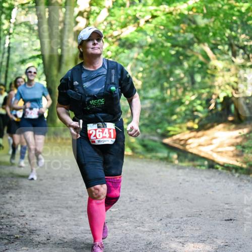 28.09.2025 - 33. Volkslauf durch das schöne Alstertal Dr. Thomas Lammeyer http://msf.ph/oto/8956035 28.09.2025 10:43:37 Laufen 2641 meine-sportfotos.de