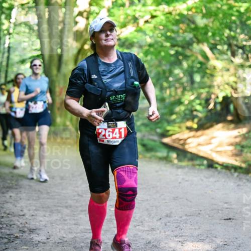 28.09.2025 - 33. Volkslauf durch das schöne Alstertal Dr. Thomas Lammeyer http://msf.ph/oto/8956036 28.09.2025 10:43:37 Laufen 2641 meine-sportfotos.de