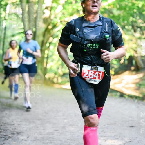 28.09.2025 - 33. Volkslauf durch das schöne Alstertal Dr. Thomas Lammeyer http://msf.ph/oto/8956039 28.09.2025 10:43:38 Laufen 2641 meine-sportfotos.de