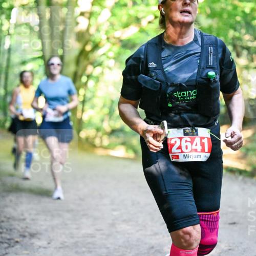 28.09.2025 - 33. Volkslauf durch das schöne Alstertal Dr. Thomas Lammeyer http://msf.ph/oto/8956040 28.09.2025 10:43:38 Laufen 2641 meine-sportfotos.de