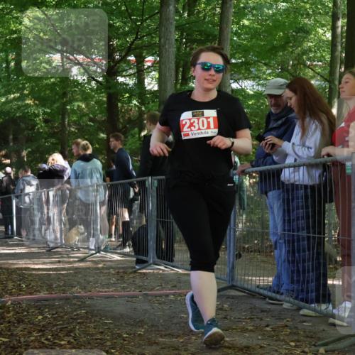 28.09.2025 - 33. Volkslauf durch das schöne Alstertal Strokosch-Dieckow http://msf.ph/oto/8956041 28.09.2025 12:49:34 Ziel 2301 meine-sportfotos.de