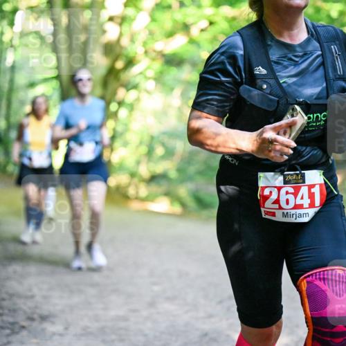 28.09.2025 - 33. Volkslauf durch das schöne Alstertal Dr. Thomas Lammeyer http://msf.ph/oto/8956042 28.09.2025 10:43:38 Laufen 2641 meine-sportfotos.de