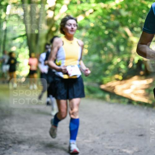 28.09.2025 - 33. Volkslauf durch das schöne Alstertal Dr. Thomas Lammeyer http://msf.ph/oto/8956053 28.09.2025 10:43:40 Laufen 2220 meine-sportfotos.de