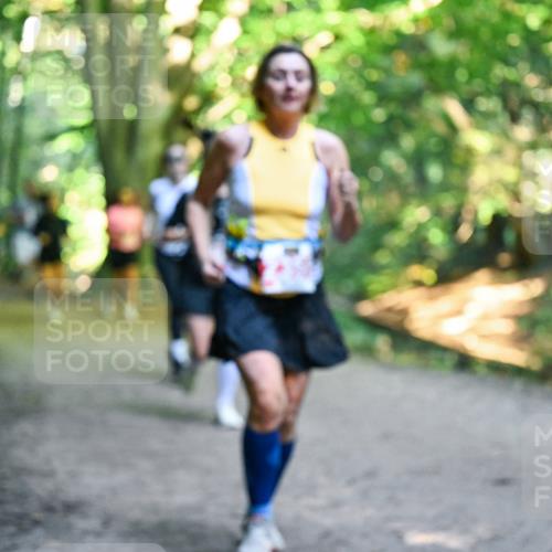28.09.2025 - 33. Volkslauf durch das schöne Alstertal Dr. Thomas Lammeyer http://msf.ph/oto/8956054 28.09.2025 10:43:40 Laufen  meine-sportfotos.de