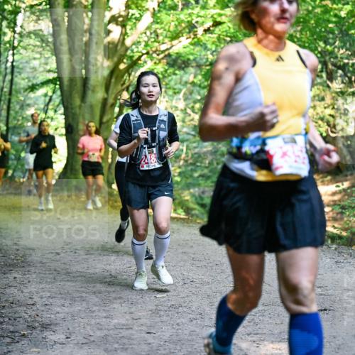 28.09.2025 - 33. Volkslauf durch das schöne Alstertal Dr. Thomas Lammeyer http://msf.ph/oto/8956055 28.09.2025 10:43:41 Laufen 28 meine-sportfotos.de