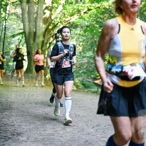28.09.2025 - 33. Volkslauf durch das schöne Alstertal Dr. Thomas Lammeyer http://msf.ph/oto/8956056 28.09.2025 10:43:41 Laufen 248 meine-sportfotos.de
