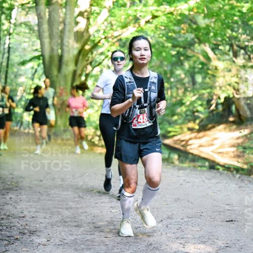 28.09.2025 - 33. Volkslauf durch das schöne Alstertal Dr. Thomas Lammeyer http://msf.ph/oto/8956061 28.09.2025 10:43:41 Laufen 248 meine-sportfotos.de