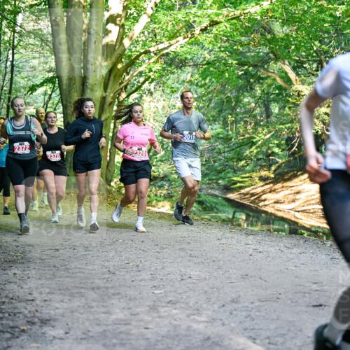 28.09.2025 - 33. Volkslauf durch das schöne Alstertal Dr. Thomas Lammeyer http://msf.ph/oto/8956073 28.09.2025 10:43:43 Laufen 1037, 2372, 2378, 11, 2320, 3018, 2254 meine-sportfotos.de