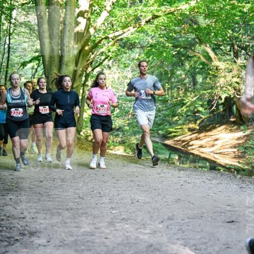 28.09.2025 - 33. Volkslauf durch das schöne Alstertal Dr. Thomas Lammeyer http://msf.ph/oto/8956075 28.09.2025 10:43:43 Laufen 1037, 2372, 2378, 11, 2320 meine-sportfotos.de