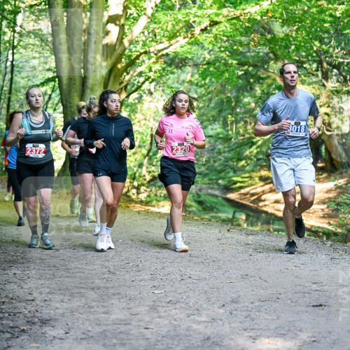 28.09.2025 - 33. Volkslauf durch das schöne Alstertal Dr. Thomas Lammeyer http://msf.ph/oto/8956081 28.09.2025 10:43:44 Laufen 2372, 1037, 2320, 3018 meine-sportfotos.de