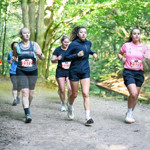 28.09.2025 - 33. Volkslauf durch das schöne Alstertal Dr. Thomas Lammeyer http://msf.ph/oto/8956090 28.09.2025 10:43:45 Laufen 2372, 2378, 11, 2320 meine-sportfotos.de