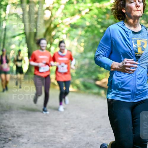 28.09.2025 - 33. Volkslauf durch das schöne Alstertal Dr. Thomas Lammeyer http://msf.ph/oto/8956113 28.09.2025 10:43:49 Laufen  meine-sportfotos.de