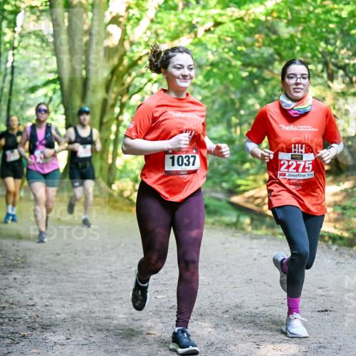 28.09.2025 - 33. Volkslauf durch das schöne Alstertal Dr. Thomas Lammeyer http://msf.ph/oto/8956123 28.09.2025 10:43:50 Laufen 1037, 2275 meine-sportfotos.de