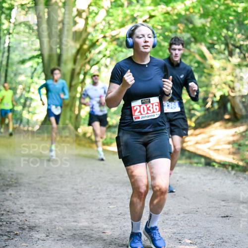 28.09.2025 - 33. Volkslauf durch das schöne Alstertal Dr. Thomas Lammeyer http://msf.ph/oto/8956147 28.09.2025 10:43:54 Laufen 2036, 36, 3912 meine-sportfotos.de