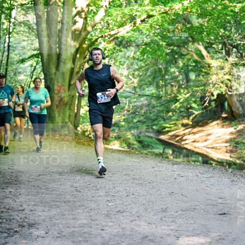 28.09.2025 - 33. Volkslauf durch das schöne Alstertal Dr. Thomas Lammeyer http://msf.ph/oto/8956196 28.09.2025 10:44:05 Laufen 334 meine-sportfotos.de