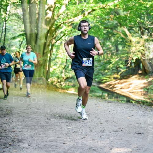 28.09.2025 - 33. Volkslauf durch das schöne Alstertal Dr. Thomas Lammeyer http://msf.ph/oto/8956200 28.09.2025 10:44:05 Laufen 3349 meine-sportfotos.de