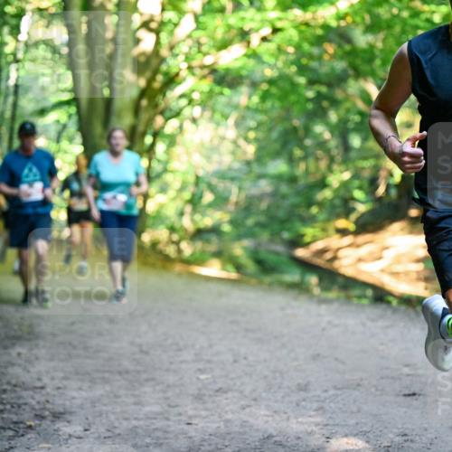 28.09.2025 - 33. Volkslauf durch das schöne Alstertal Dr. Thomas Lammeyer http://msf.ph/oto/8956208 28.09.2025 10:44:06 Laufen 3349 meine-sportfotos.de