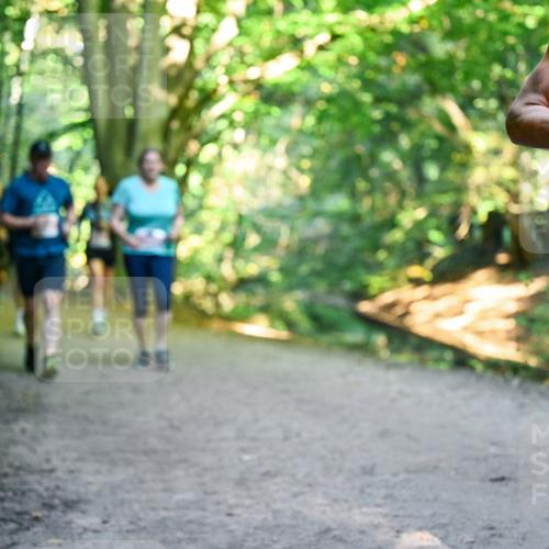 28.09.2025 - 33. Volkslauf durch das schöne Alstertal Dr. Thomas Lammeyer http://msf.ph/oto/8956209 28.09.2025 10:44:07 Laufen 133 meine-sportfotos.de