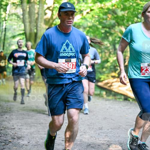 28.09.2025 - 33. Volkslauf durch das schöne Alstertal Dr. Thomas Lammeyer http://msf.ph/oto/8956234 28.09.2025 10:44:10 Laufen 397, 2398 meine-sportfotos.de
