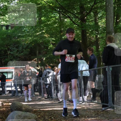 28.09.2025 - 33. Volkslauf durch das schöne Alstertal Strokosch-Dieckow http://msf.ph/oto/8956265 28.09.2025 12:51:26 Ziel 2488, 2642 meine-sportfotos.de
