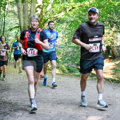 28.09.2025 - 33. Volkslauf durch das schöne Alstertal Dr. Thomas Lammeyer http://msf.ph/oto/8956275 28.09.2025 10:44:16 Laufen 2369, 2414, 365, 413 meine-sportfotos.de