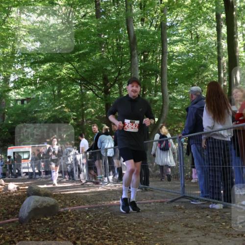 28.09.2025 - 33. Volkslauf durch das schöne Alstertal Strokosch-Dieckow http://msf.ph/oto/8956280 28.09.2025 12:51:27 Ziel 2488, 2642 meine-sportfotos.de