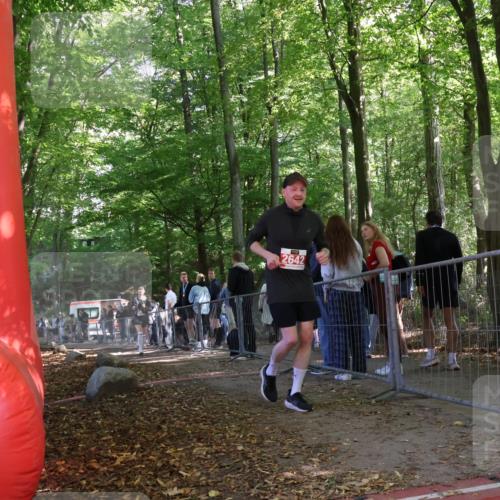 28.09.2025 - 33. Volkslauf durch das schöne Alstertal Strokosch-Dieckow http://msf.ph/oto/8956301 28.09.2025 12:51:27 Ziel 2488, 2642 meine-sportfotos.de