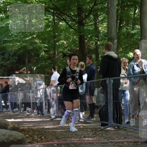 28.09.2025 - 33. Volkslauf durch das schöne Alstertal Strokosch-Dieckow http://msf.ph/oto/8956307 28.09.2025 12:51:29 Ziel 2488 meine-sportfotos.de